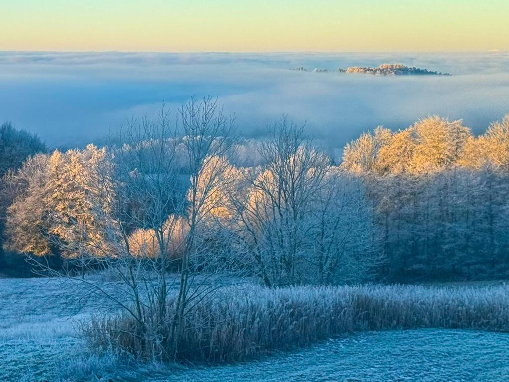 Ferienwohnungen Bauer - Auszeit Mit Ausblick Zenting Ngoại thất bức ảnh